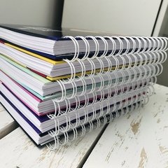 Sketchbook and Notes  - NY - Kaunakes