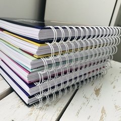 Sketchbook and Notes  - RED en internet