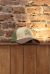 GORRA - DREAD