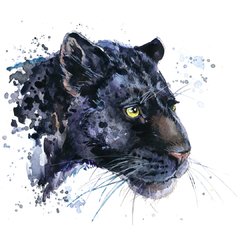 Pantera