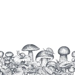 Hongos
