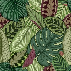 Verde - comprar online