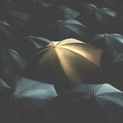 Umbrellas