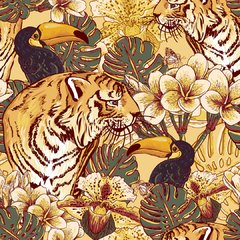 Jungla