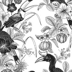 Loros y tucanes - comprar online