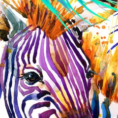 Rainbow zebra - comprar online