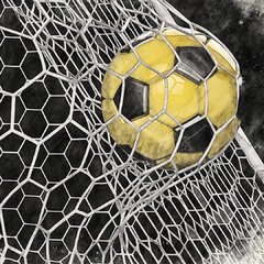 Golazo en internet