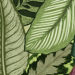 Verde en internet