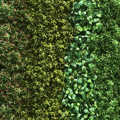 Jardín Vertical - comprar online