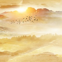 Amanecer - comprar online