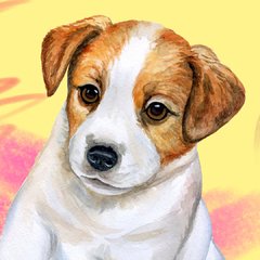 Joaquina - comprar online