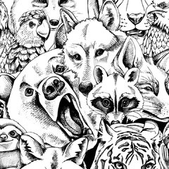Criaturas - comprar online
