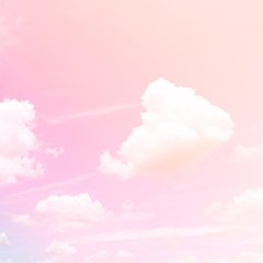 Cielo - comprar online