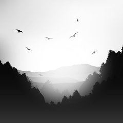 Sombras - comprar online