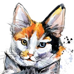 Kiki en internet