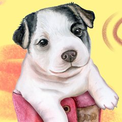 Joaquina en internet