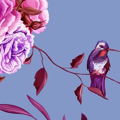 Aromas