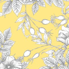Yellow en internet