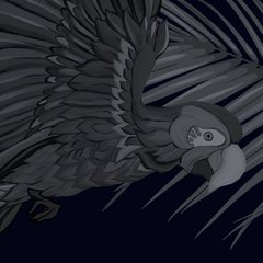 Dark Parrots en internet