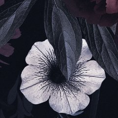 Noche en internet