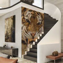 Tigre en internet