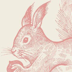 Rabbit - Rollo. Vinilos decorativos