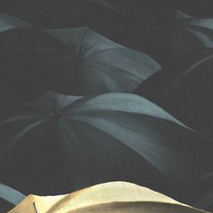 Umbrellas - comprar online