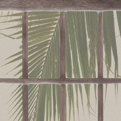 Tropical window en internet