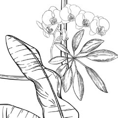 Tropical Birds - tienda online