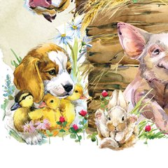 Imagen de Kiki