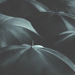 Umbrellas en internet