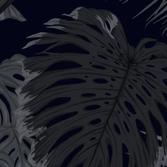 Imagen de Dark Parrots