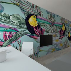 Imagen de Tucanes