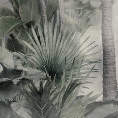 Imagen de Costa Rica