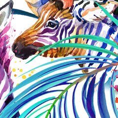 Rainbow zebra - Rollo. Vinilos decorativos