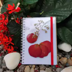 Caderno A6 - Rosa vermelha