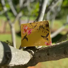 Long beija-flor