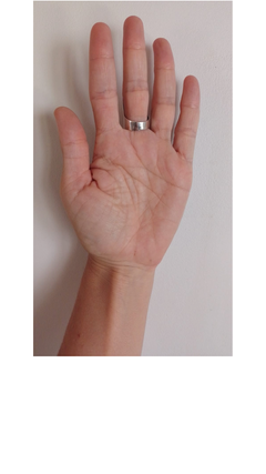 #022 ANILLO DE PLATA - comprar online