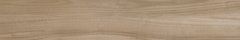 PORTOBELLO ARAUCARIA CLARA 20X120 - Altea