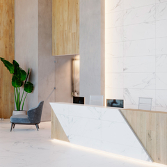 Porcelanosa Artic 45x120