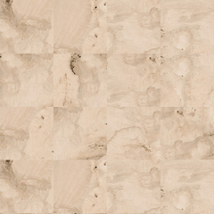 Ceusa Radica Polido 80x80 - comprar online