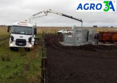 Brete inmovilizador FARMQUIP en internet