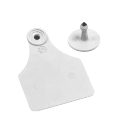 CARAVANAS ALLFLEX - GRANDES - BLANCAS - LISA X50UN
