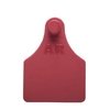 Caravanas ArgenFlex Premium X100UN - comprar online
