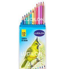 Lápices de Color