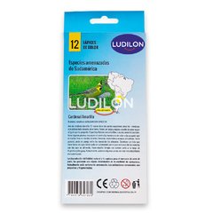 Lápices de Color en internet