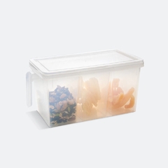 CAJA ORGANIZADORA CON ORDENADORES en internet