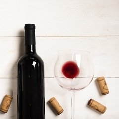 Banner de la categoría VINOS ORGANICOS