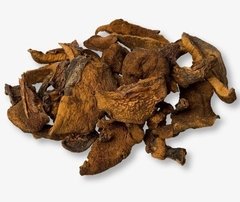 HONGOS DE PINO 100GR