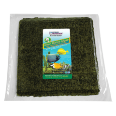 Green Marine Algae "Seaweed"  50 HOJAS